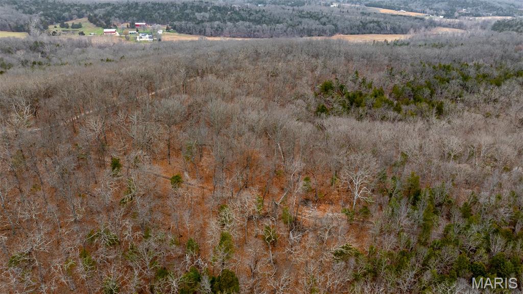 0 Flucom East Road Festus, MO 63028 - Photo 37 of 83