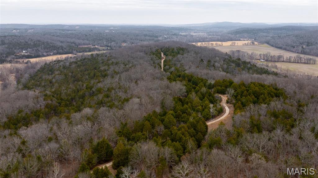 0 Flucom East Road Festus, MO 63028 - Photo 4 of 83