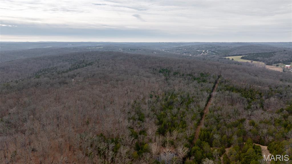 0 Flucom East Road Festus, MO 63028 - Photo 41 of 83