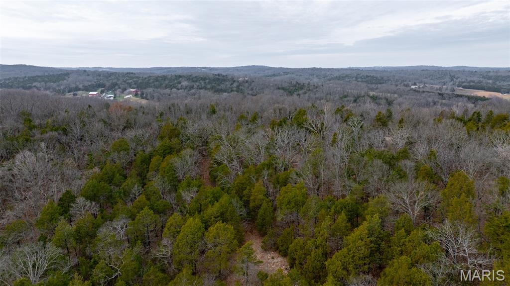 0 Flucom East Road Festus, MO 63028 - Photo 42 of 83