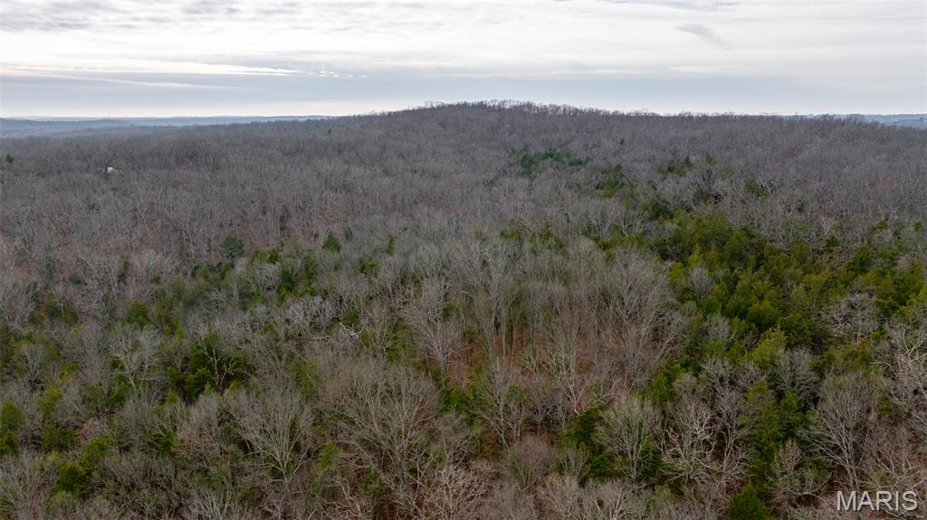 0 Flucom East Road Festus, MO 63028 - Photo 43 of 83