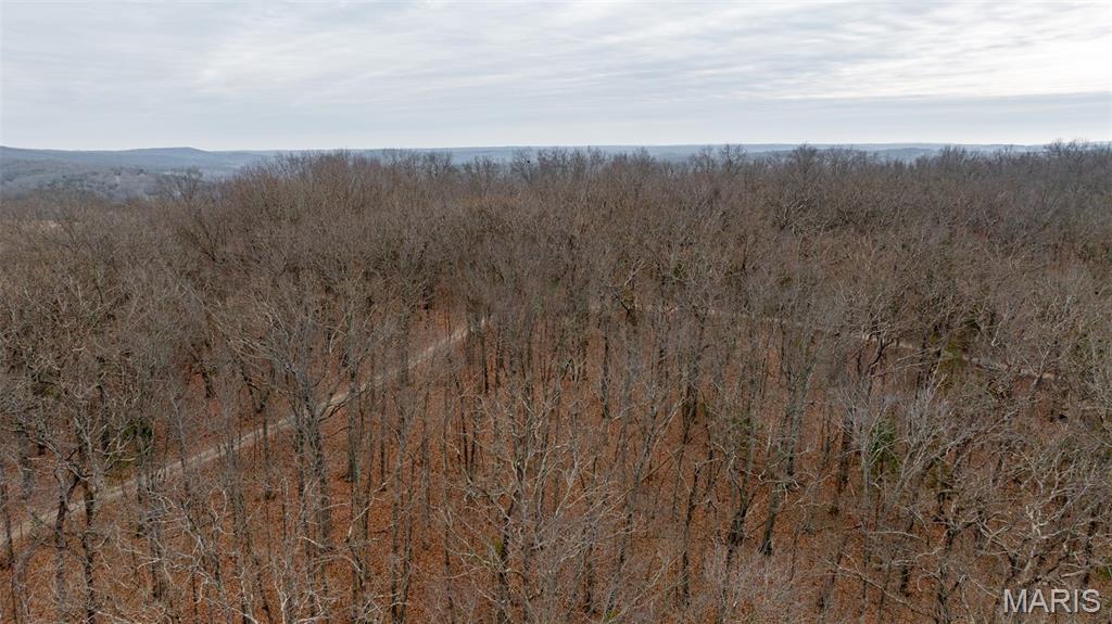 0 Flucom East Road Festus, MO 63028 - Photo 44 of 83