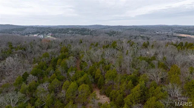 $1 | 0 Flucom East Road, Festus, MO 63028