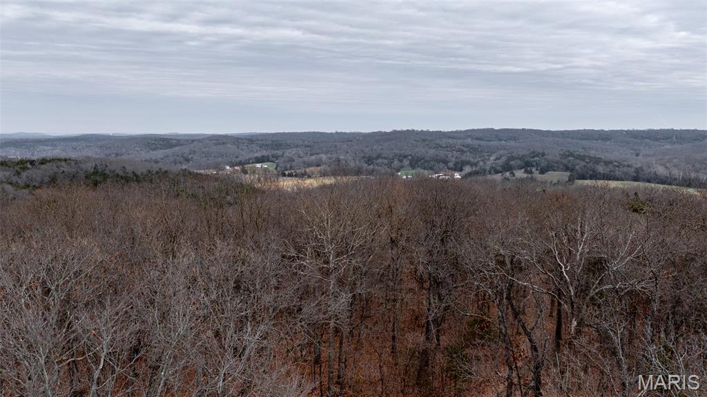 0 Flucom East Road Festus, MO 63028 - Photo 45 of 83