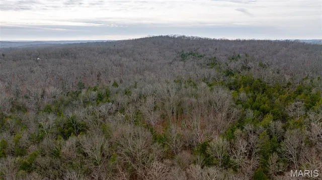 $1 | 0 Flucom East Road, Festus, MO 63028