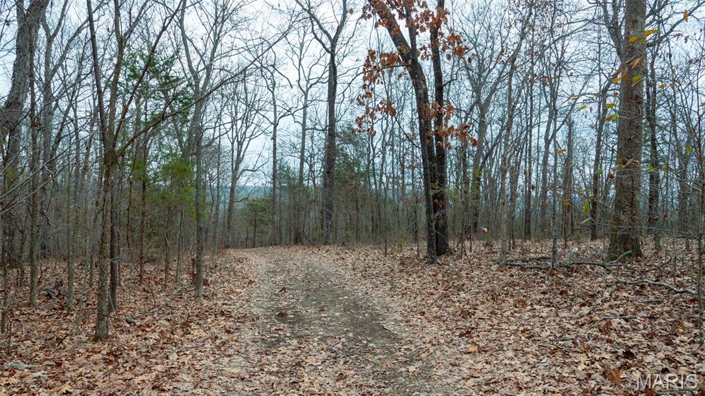 0 Flucom East Road Festus, MO 63028 - Photo 46 of 83