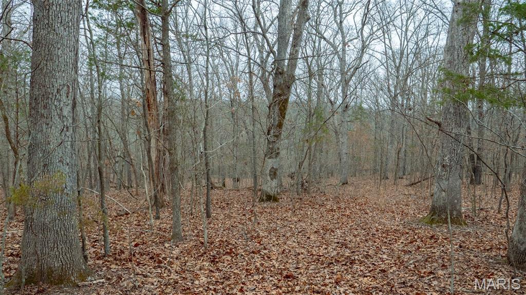 0 Flucom East Road Festus, MO 63028 - Photo 47 of 83