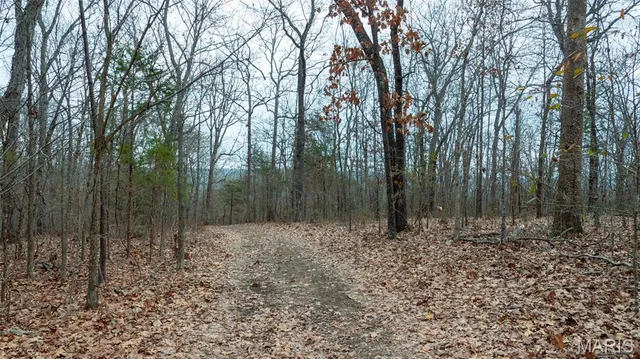 $1 | 0 Flucom East Road, Festus, MO 63028