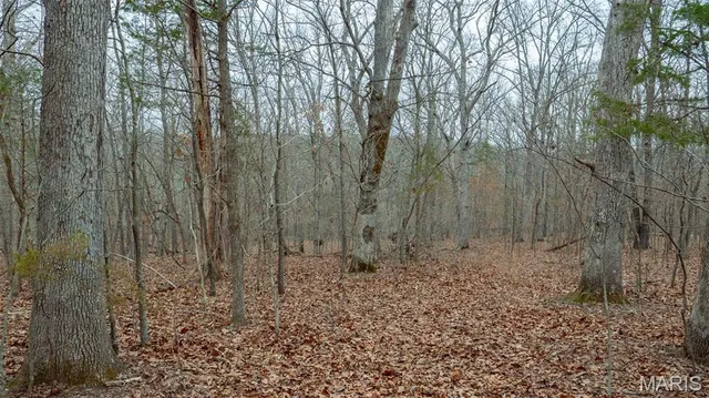 $1 | 0 Flucom East Road, Festus, MO 63028