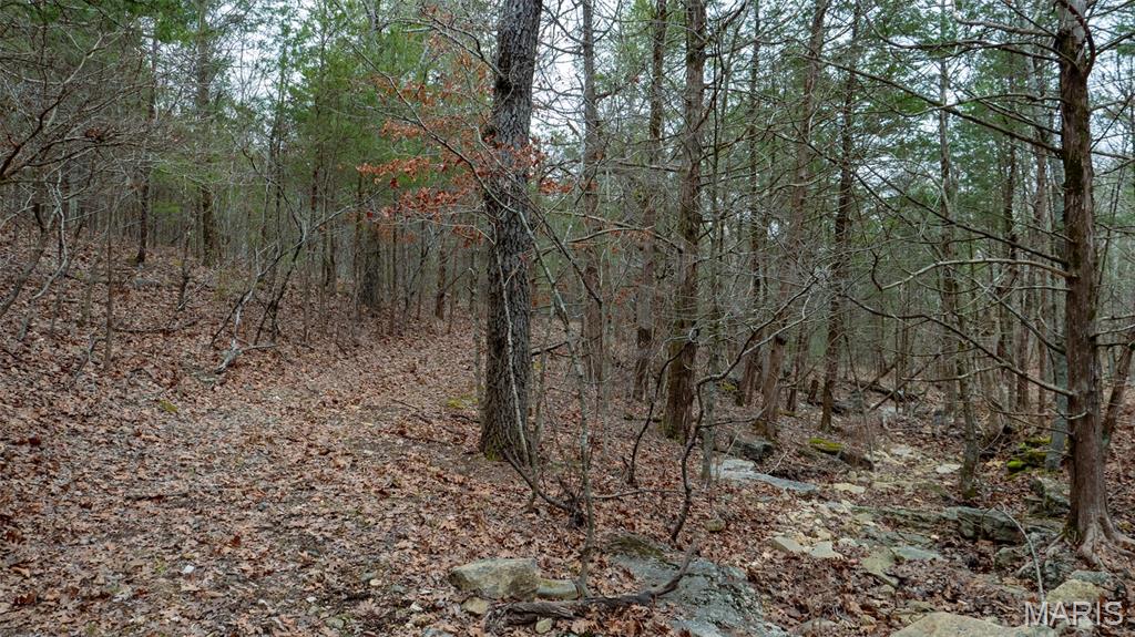 0 Flucom East Road Festus, MO 63028 - Photo 49 of 83