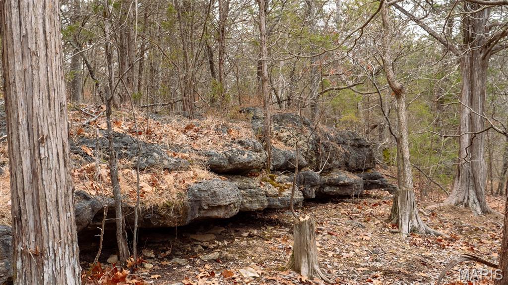 0 Flucom East Road Festus, MO 63028 - Photo 50 of 83