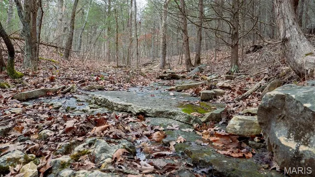 $1 | 0 Flucom East Road, Festus, MO 63028