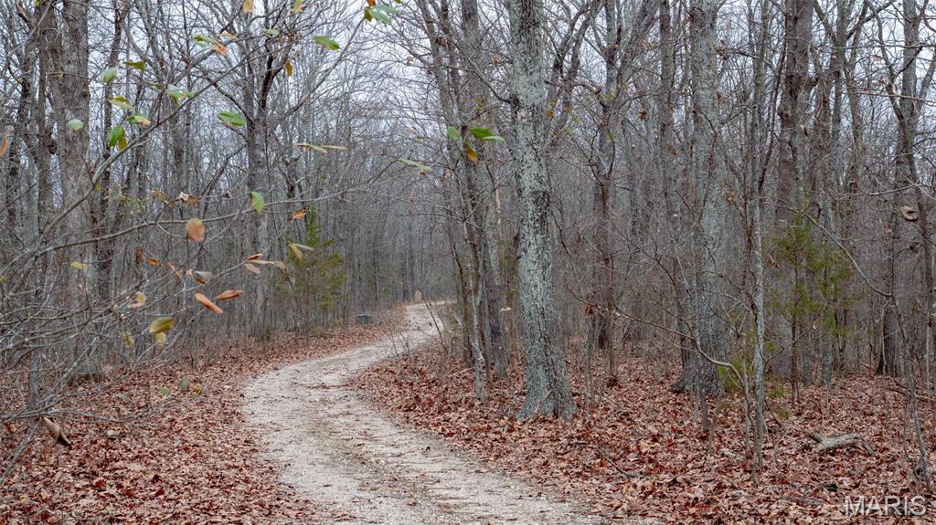 0 Flucom East Road Festus, MO 63028 - Photo 5 of 83