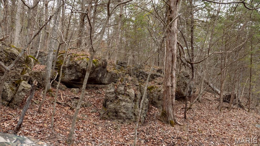 0 Flucom East Road Festus, MO 63028 - Photo 51 of 83