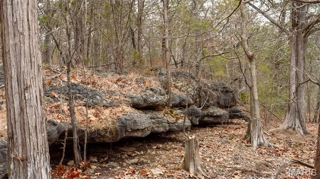 $1 | 0 Flucom East Road, Festus, MO 63028