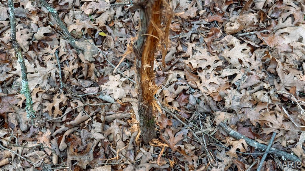 0 Flucom East Road Festus, MO 63028 - Photo 55 of 83