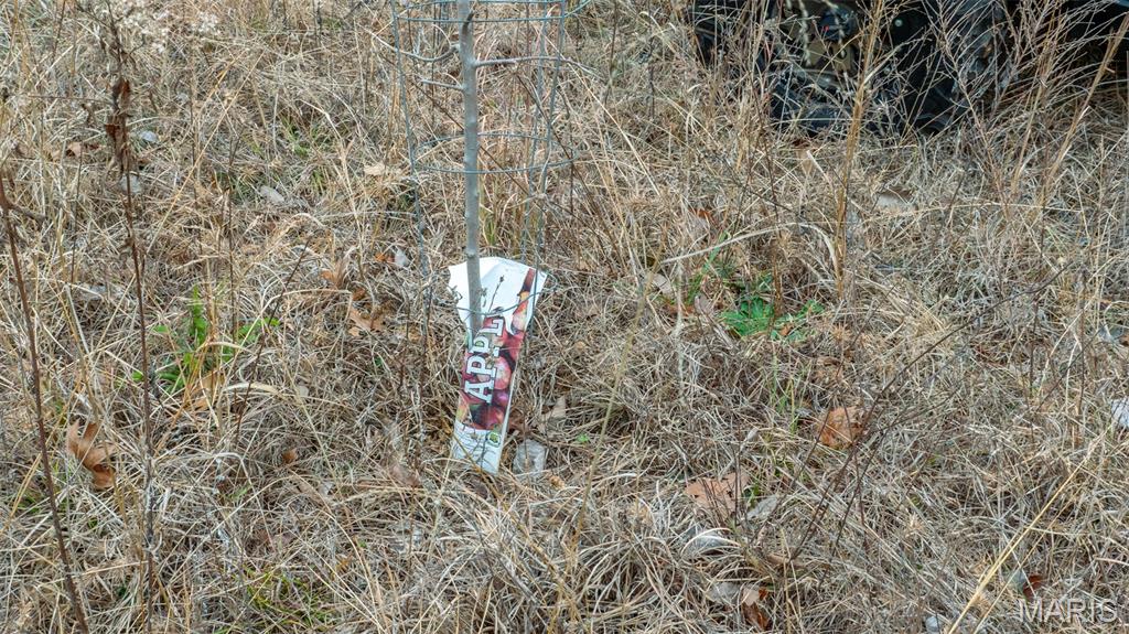 0 Flucom East Road Festus, MO 63028 - Photo 56 of 83