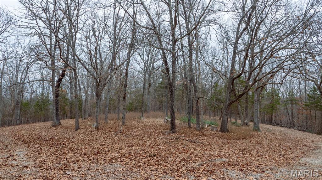 0 Flucom East Road Festus, MO 63028 - Photo 57 of 83