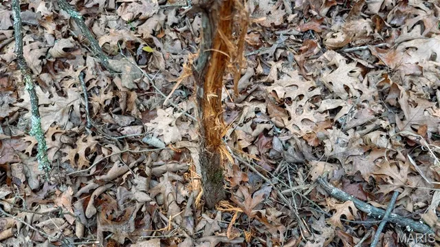 $1 | 0 Flucom East Road, Festus, MO 63028