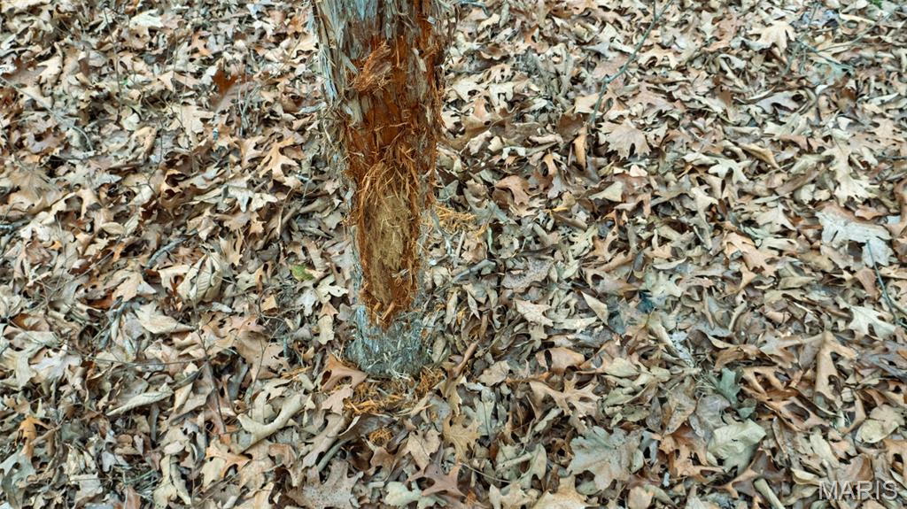 0 Flucom East Road Festus, MO 63028 - Photo 58 of 83