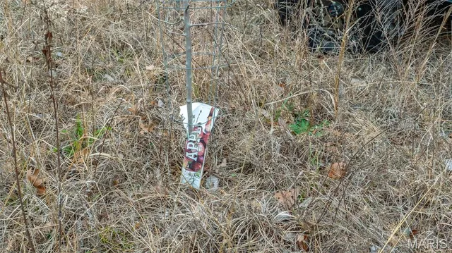 $1 | 0 Flucom East Road, Festus, MO 63028