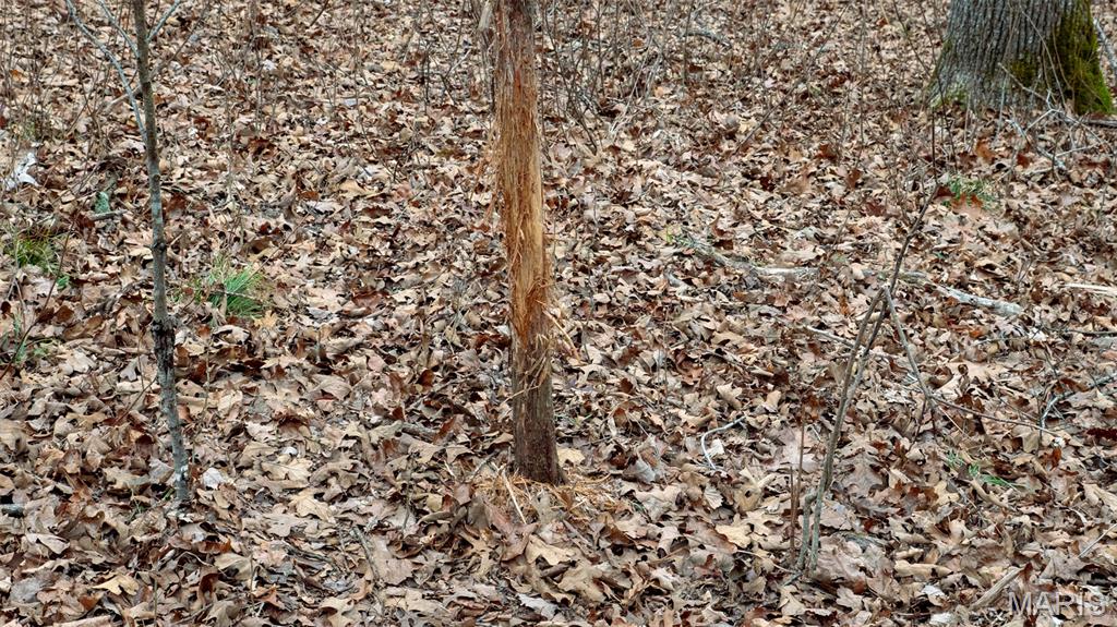 0 Flucom East Road Festus, MO 63028 - Photo 59 of 83