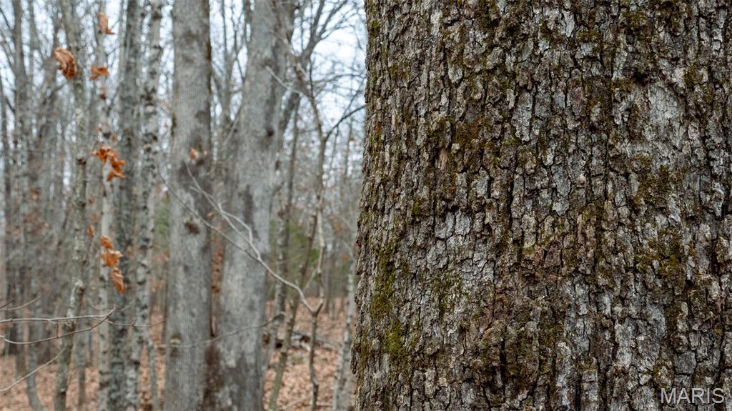 0 Flucom East Road Festus, MO 63028 - Photo 60 of 83