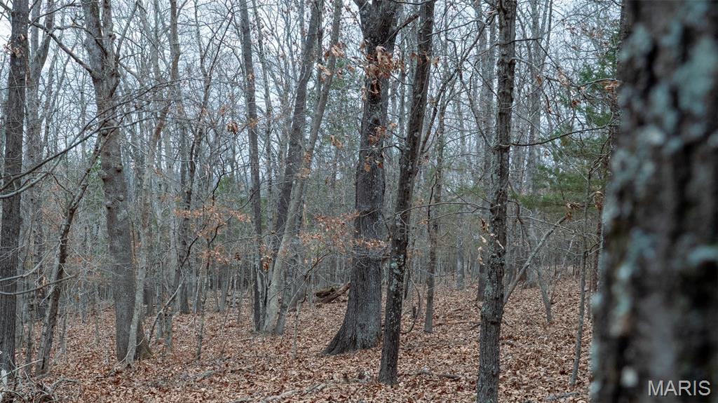 0 Flucom East Road Festus, MO 63028 - Photo 61 of 83