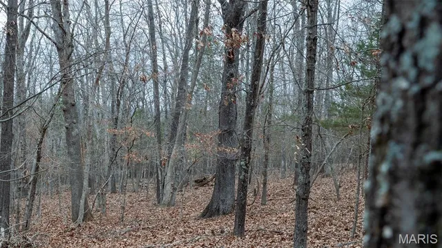 $1 | 0 Flucom East Road, Festus, MO 63028