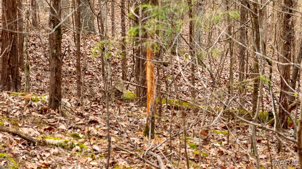 0 Flucom East Road Festus, MO 63028 - Photo 63 of 83