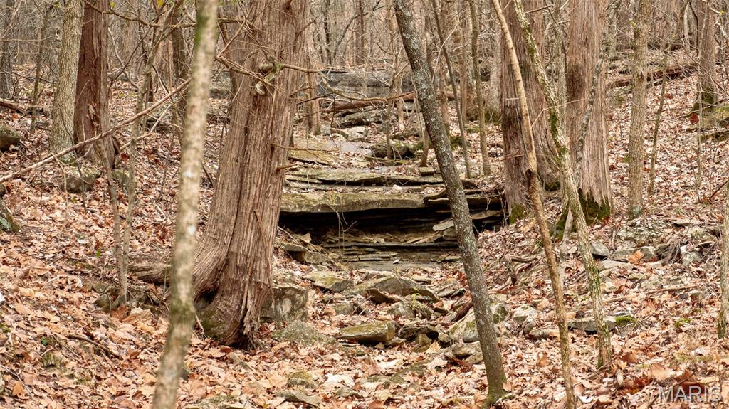 0 Flucom East Road Festus, MO 63028 - Photo 64 of 83