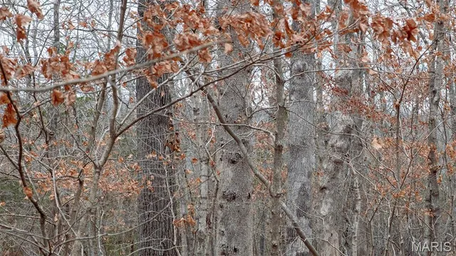 $1 | 0 Flucom East Road, Festus, MO 63028