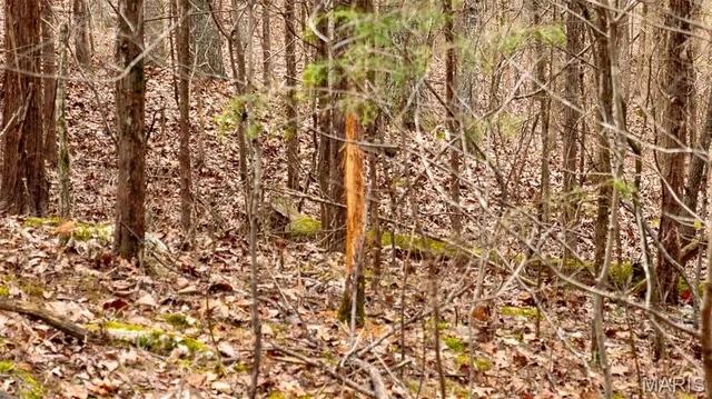 $1 | 0 Flucom East Road, Festus, MO 63028