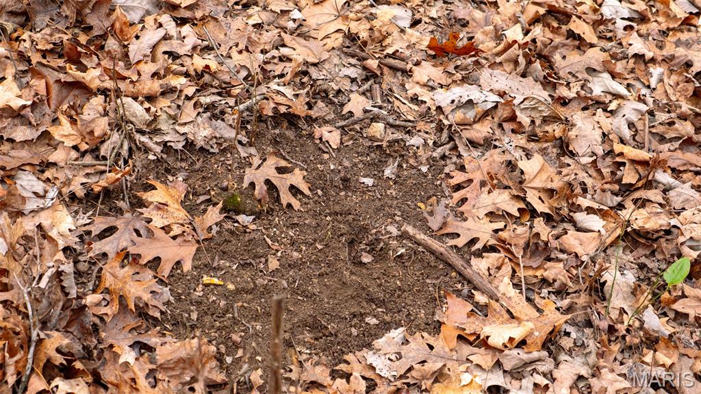 0 Flucom East Road Festus, MO 63028 - Photo 65 of 83