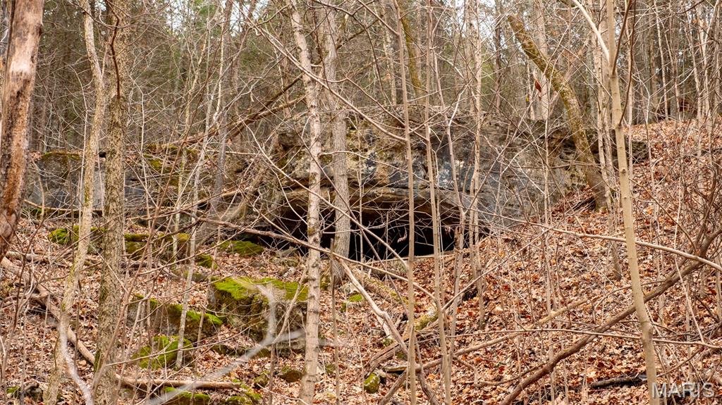 0 Flucom East Road Festus, MO 63028 - Photo 66 of 83