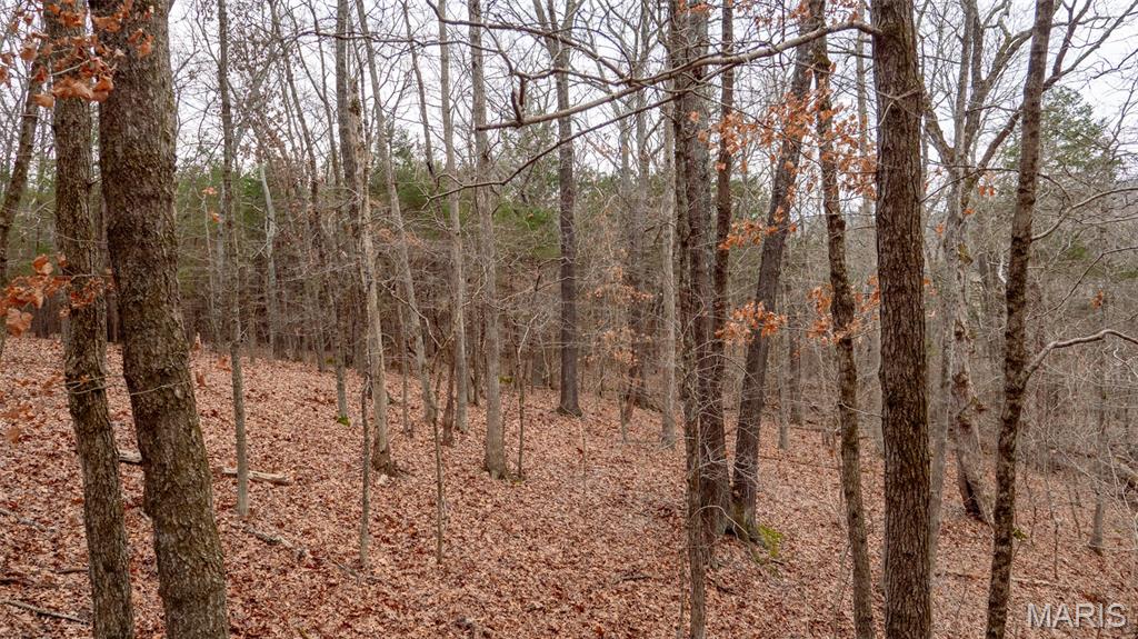 0 Flucom East Road Festus, MO 63028 - Photo 67 of 83