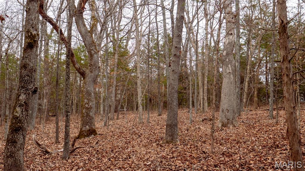 0 Flucom East Road Festus, MO 63028 - Photo 68 of 83