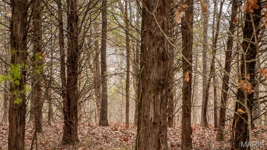 0 Flucom East Road Festus, MO 63028 - Photo 69 of 83