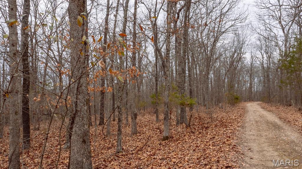 0 Flucom East Road Festus, MO 63028 - Photo 70 of 83