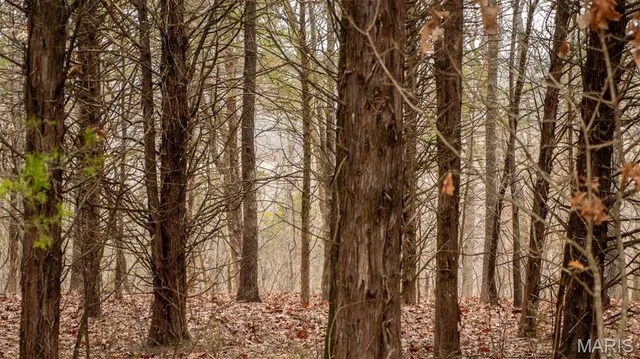 $1 | 0 Flucom East Road, Festus, MO 63028