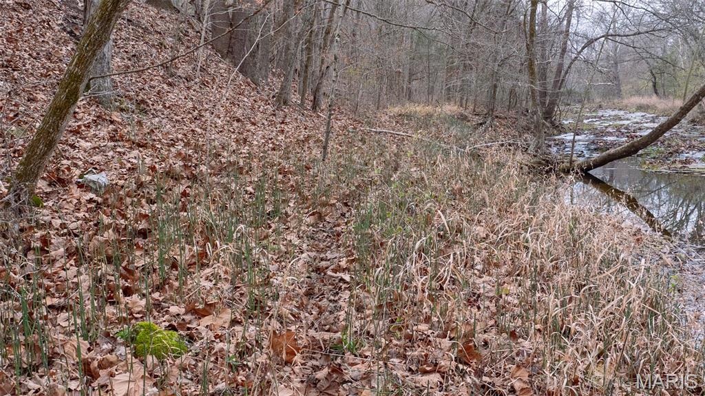 0 Flucom East Road Festus, MO 63028 - Photo 71 of 83