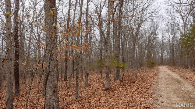 $1 | 0 Flucom East Road, Festus, MO 63028