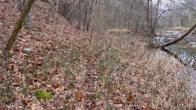 $1 | 0 Flucom East Road, Festus, MO 63028