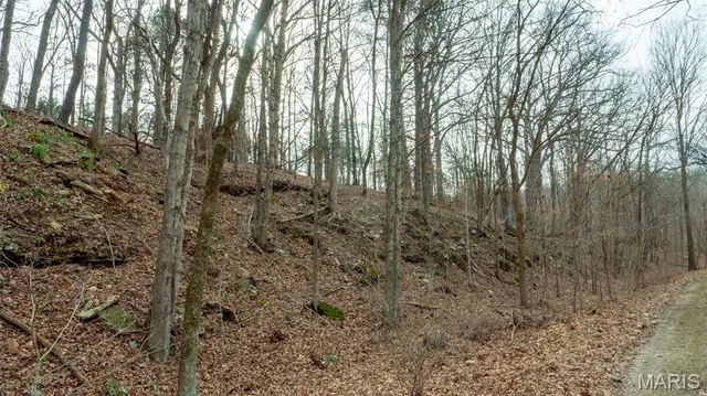 $1 | 0 Flucom East Road, Festus, MO 63028