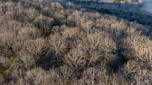 $1 | 0 Flucom East Road, Festus, MO 63028