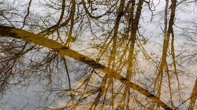 $1 | 0 Flucom East Road, Festus, MO 63028