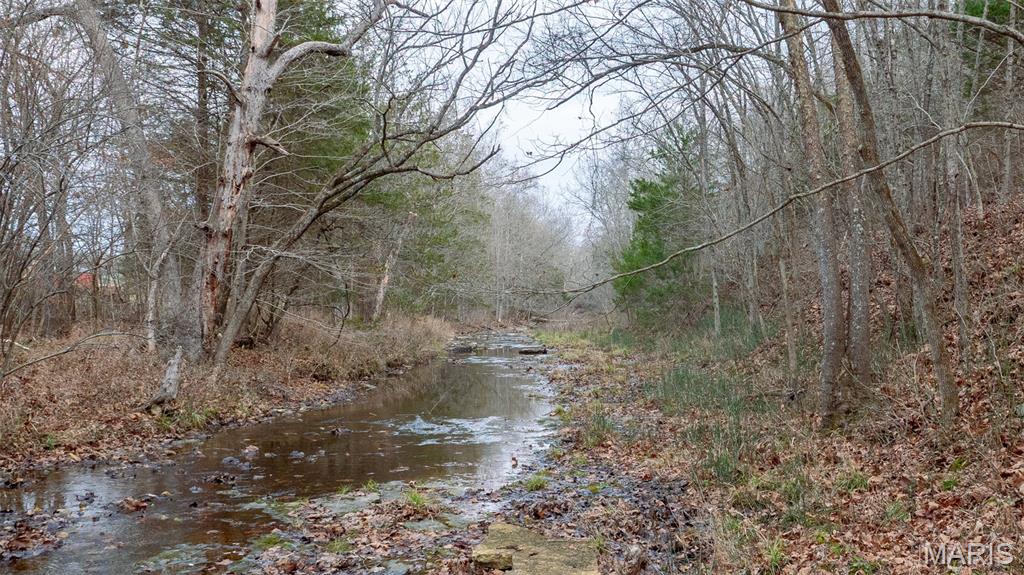 0 Flucom East Road Festus, MO 63028 - Photo 9 of 83