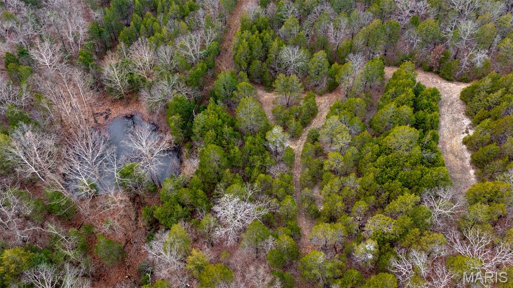 0 Flucom East Road Festus, MO 63028 - Photo 10 of 83