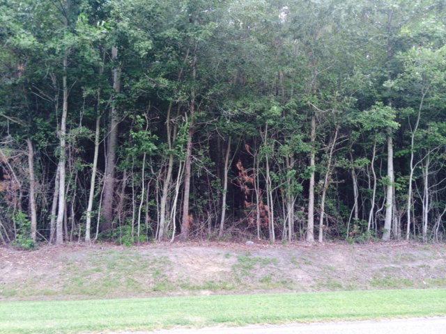 29 Pinecrest Road Bath, NC 27808 - Photo 1 of 3 Primary Photo