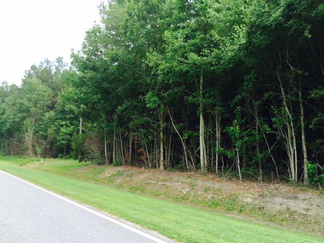 29 Pinecrest Road Bath, NC 27808 - Photo 2 of 3 Additional Photo